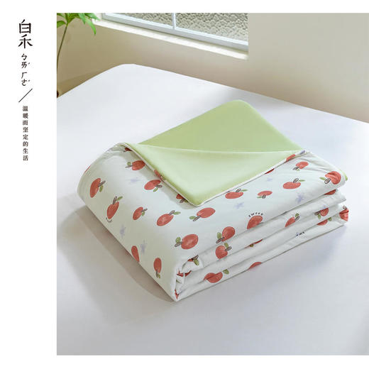 【白禾】25年新款白禾A两用冰冰熊奶芙夏凉被 商品图9