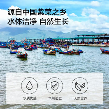 京东京造 头茬紫菜50g 头茬紫菜虾皮汤可做海苔 /粮油调味 /南北干货 /菌菇干货 商品图0