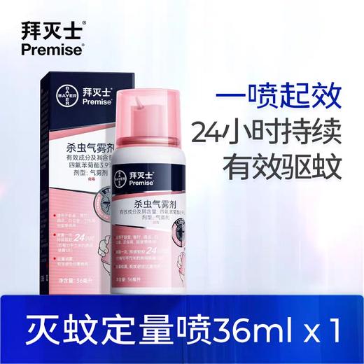 德国拜耳拜灭士杀虫气雾剂 商品图0