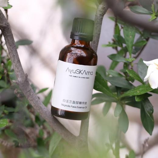猫太推荐--AySkAma白玉兰面部精华油 商品图2