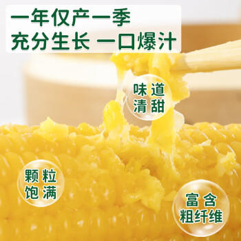 灶小美【内蒙古产地】黄糯八厘米玉米段12袋≥4斤粗粮 源头直发包邮 /粮油调味 /杂粮 /谷米类 商品图6