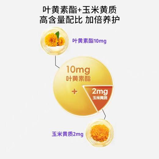 童之梦 饮液 蓝莓叶黄素 商品图2
