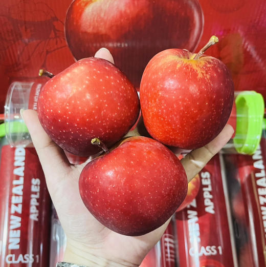 新西兰 红玫瑰试管苹果 1箱5条共约5斤礼盒 商品图2