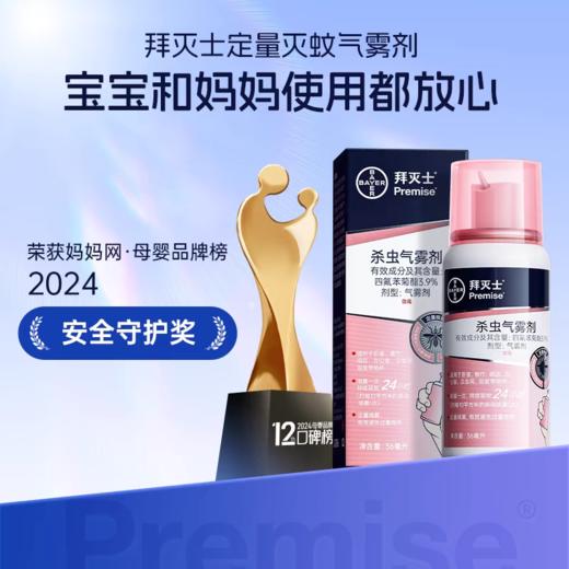 德国拜耳拜灭士杀虫气雾剂 商品图1