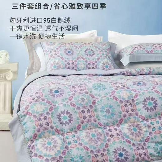 【云粉节】10楼 宜庭 西西里岸可水洗鹅绒春秋被  吊牌价7800-11800元 活动价2499-3599元 商品图0