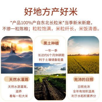 七河源长粒香米5kg/10斤 地标 东北大米粳米真空包装 一级粳米 /粮油调味 /米 /长粒香米 商品图6