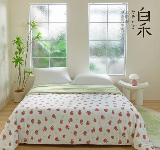 【白禾】25年新款白禾A两用冰冰熊奶芙夏凉被 商品图1