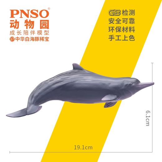 PNSO动物园成长陪伴模型17中华白海豚稀宝 商品图2