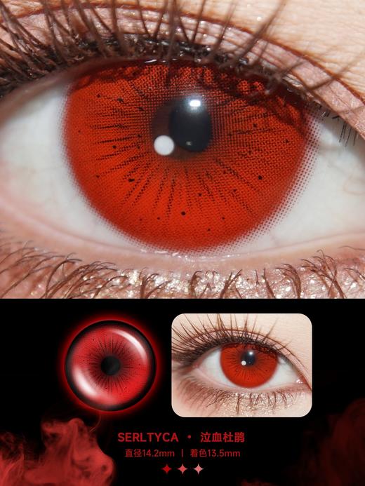 Serltyca 日抛 六片 泣血杜鹃 直径14.2mm着色13.5mm 商品图4