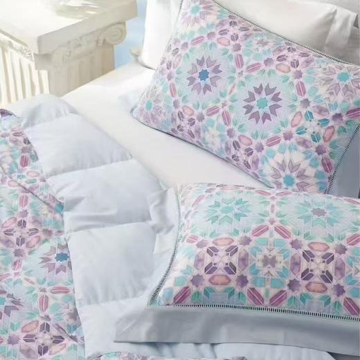 【云粉节】10楼 宜庭 西西里岸可水洗鹅绒春秋被  吊牌价7800-11800元 活动价2499-3599元 商品图3