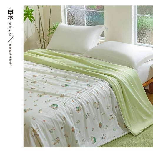 【白禾】25年新款白禾A两用冰冰熊奶芙夏凉被 商品图5