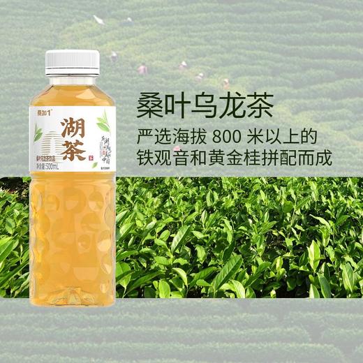 桑加1 桑叶乌龙茶 500ml/瓶 商品图2