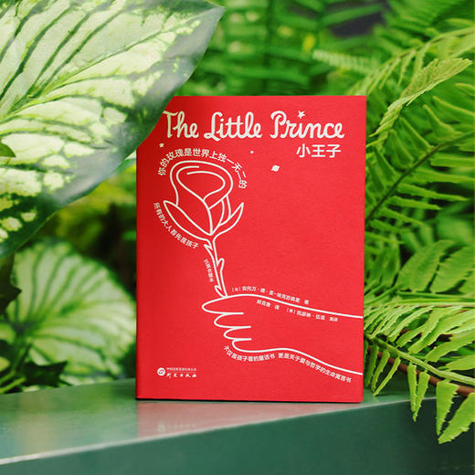 文库版《小王子》 专属星球编码+专色刷边 中英法三语 正版原著 法式浪漫美学 商品图7