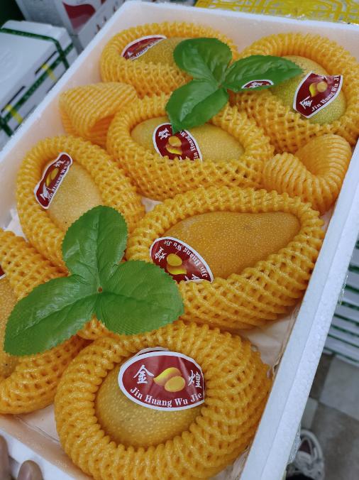 泡沫箱金煌芒一箱 商品图0