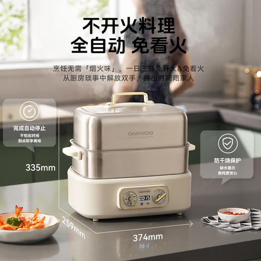 大宇 0塑不锈钢电蒸锅S30 多功能炖蒸煮锅 18L大容量 食品级材质 72小时发货 商品图1