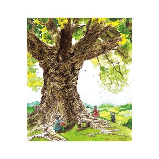 树和喜鹊 拼音读本 商品图2