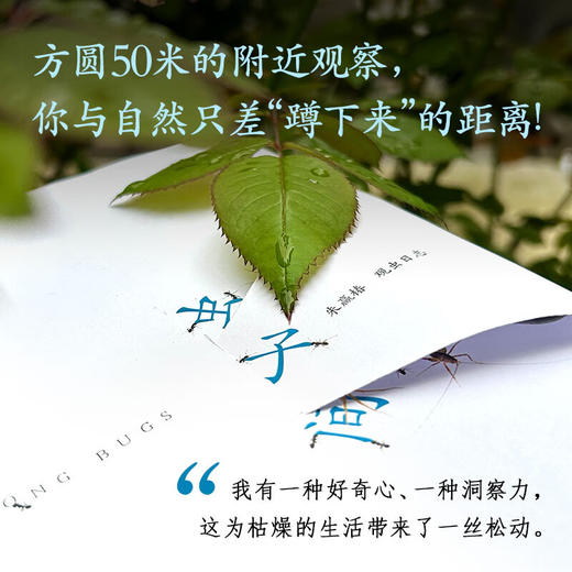 虫子间 商品图0