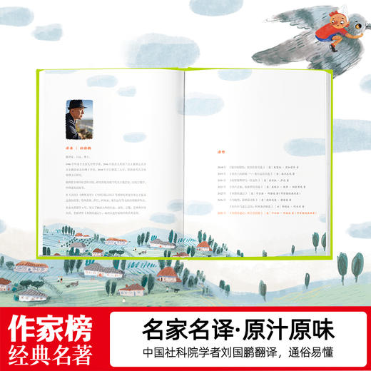 木偶奇遇记:拼音美绘版 商品图1