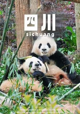 【毕业季-成都】纯玩5天4晚私家团