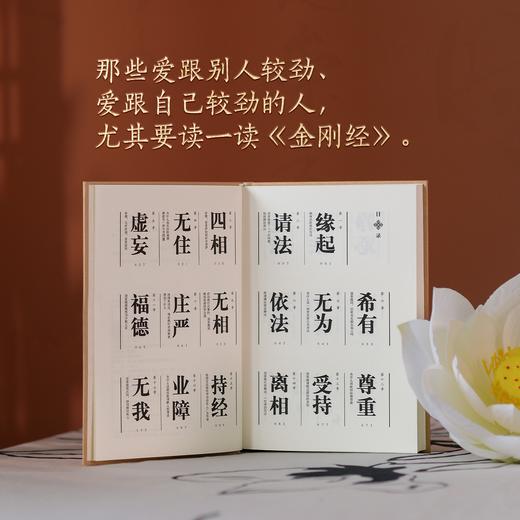 【磨铁】打开金刚经的世界 余世存著 商品图3