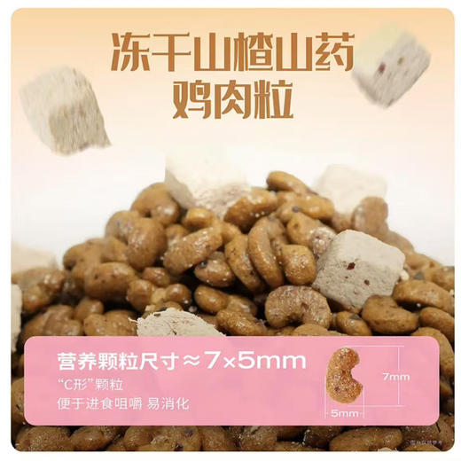 比瑞吉幼年期猫粮专用猫粮主食冻干猫粮营养增肥猫食1.5kg每袋 商品图2
