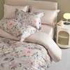 百丽安娜60支全棉A类印花四件套200*230cm 商品缩略图3
