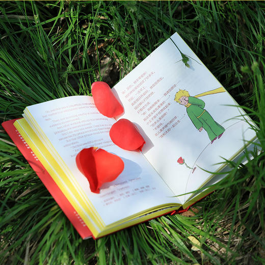 文库版《小王子》 专属星球编码+专色刷边 中英法三语 正版原著 法式浪漫美学 商品图6