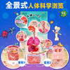 探秘人体科学 董立华主编 这是一本精彩纷呈的互动立体书 带孩子探索我们的身体 扫描书中二维码可观看妙趣横生的科普视频 商品缩略图4
