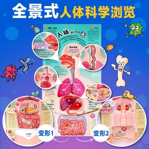 探秘人体科学 董立华主编 这是一本精彩纷呈的互动立体书 带孩子探索我们的身体 扫描书中二维码可观看妙趣横生的科普视频 商品图4