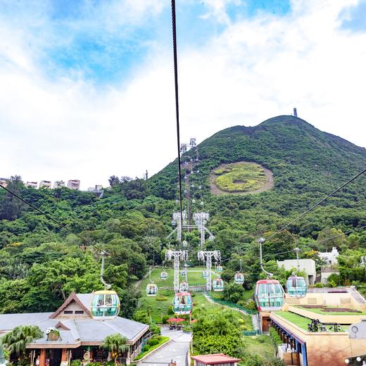 南方都市报小记者香港研学2天 商品图5