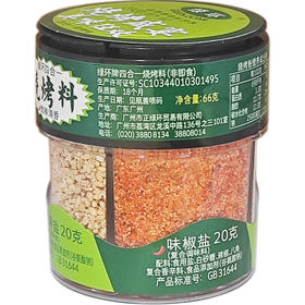 66g绿环四合一烧烤调味料