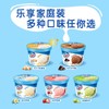 雀巢家装冰淇淋哈密瓜味245g/杯 商品缩略图1