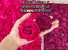 组图刘亦菲墨红玫瑰干花茶界的黄金爱马仕 商品缩略图6