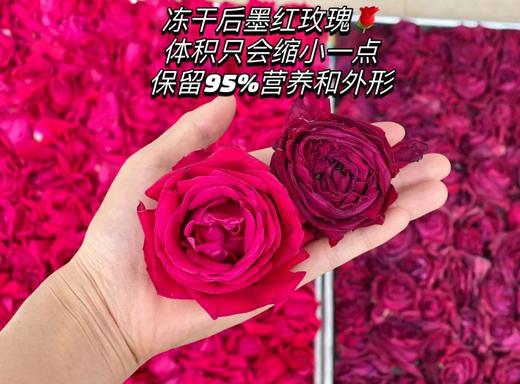 组图刘亦菲墨红玫瑰干花茶界的黄金爱马仕 商品图6