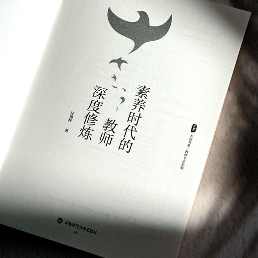 素养时代的教师深度修炼 大夏书系 教师专业发展 汪瑞林 商品图5