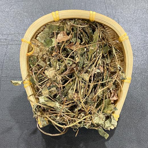 金钱草 常用规格 广金钱草 大叶金钱草 商品图4