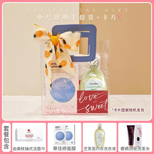 【520为爱放价】中号透明手提袋套装D+卡片+丝巾/117690*117867*112527*117818*080109 商品图0