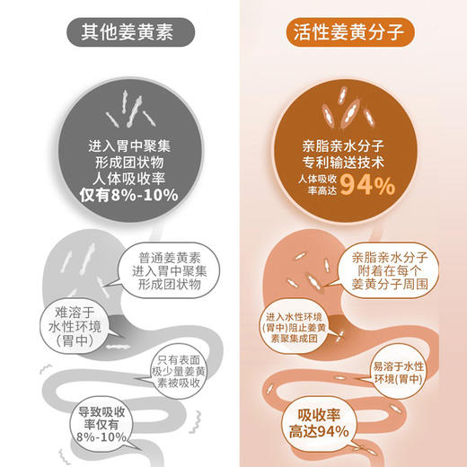 Shift挪威进口 活性姜黄素 欧洲专利 高吸收率 水溶温和吸收 商品图5