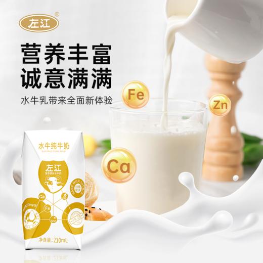 优选|左江水牛牛奶  冰淇淋口感  菠萝喂养自然清甜  广西崇左原生态牧场 1箱/2箱 商品图1