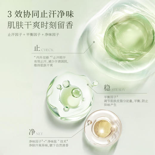 宝玑米 微氛香体精华喷雾 30ml 空庭芍药香 舒爽净味 止汗留香 商品图2