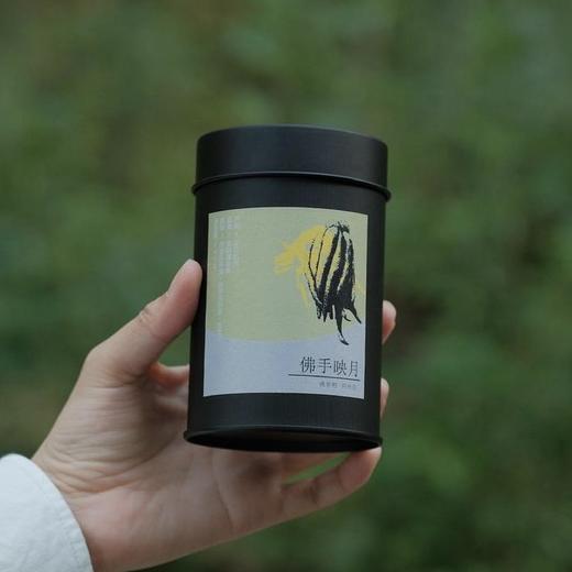 夏日森林风味茶！【佛手映月】云南千年古树 春天头采 芽头肥硕 满披白毫 滋味鲜爽甜醇 甜润感从舌尖蔓延至喉底 商品图0