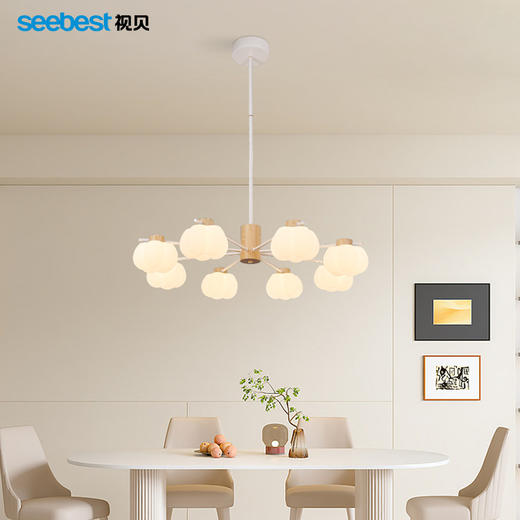 南瓜慕斯-花式吊灯 商品图3