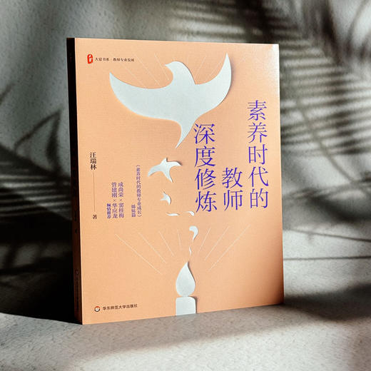 素养时代的教师深度修炼 大夏书系 教师专业发展 汪瑞林 商品图3