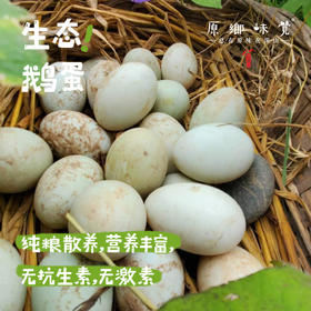 【预售需等】生态鹅蛋【基地直发-京东快递】| 12枚/盒，来自四川简阳，生产者：德福【合作生产，公平贸易】