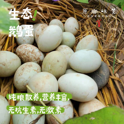 【预售需等】生态鹅蛋【基地直发-京东快递】| 12枚/盒，来自四川简阳，生产者：德福【合作生产，公平贸易】 商品图0
