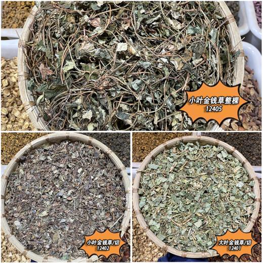 金钱草 常用规格 广金钱草 大叶金钱草 商品图0