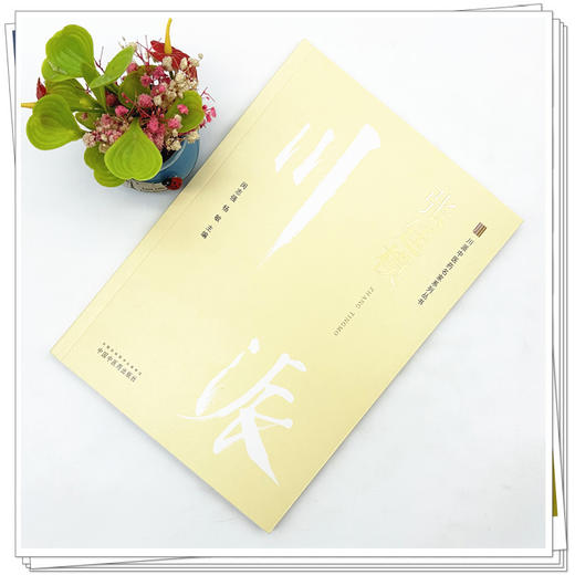 张廷模 川派中医药名家系列丛书 闵志强 杨敏 主编 中医药出版社 中医临床 书籍 商品图1