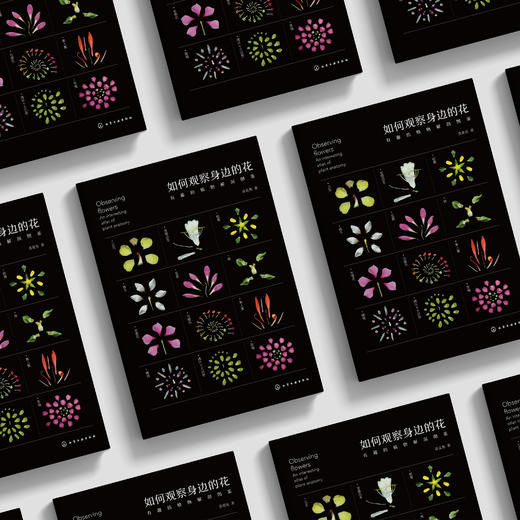 《如何观察身边的花：有趣的植物解剖图鉴》 商品图2