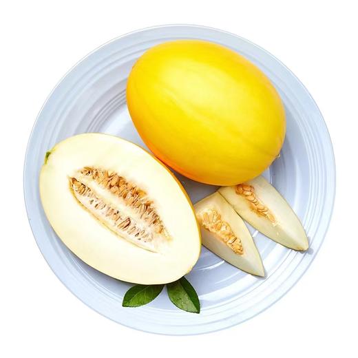 【519直播】金美人蜜瓜3~3.5斤(A级瓜2个小瓜) 商品图0