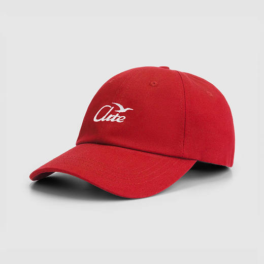 Arte BIRD LOGO CAP 棒球帽 鸭舌帽 商品图4